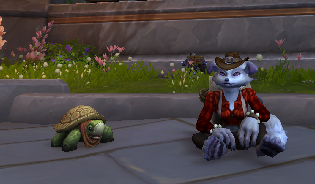 Tartaruga do Esgoto de Dalaran